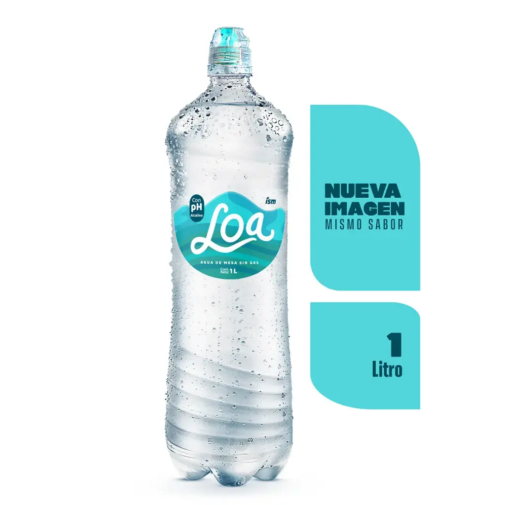 Loa 1L